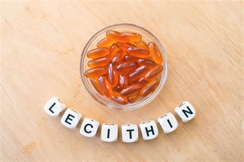 lecithin fiyat